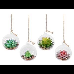 Glass Globe Air Planter, BRAND NEW-4pack Terrarium Vase with jute string to hang